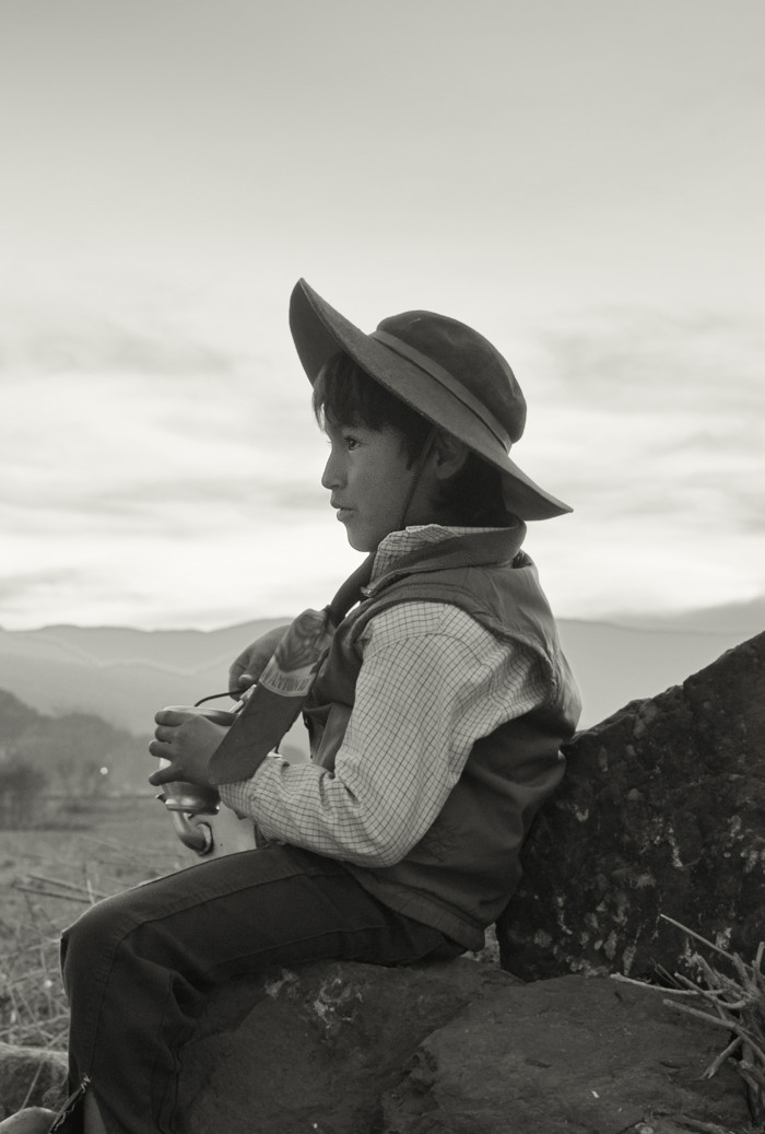 Gaucho Gaucho