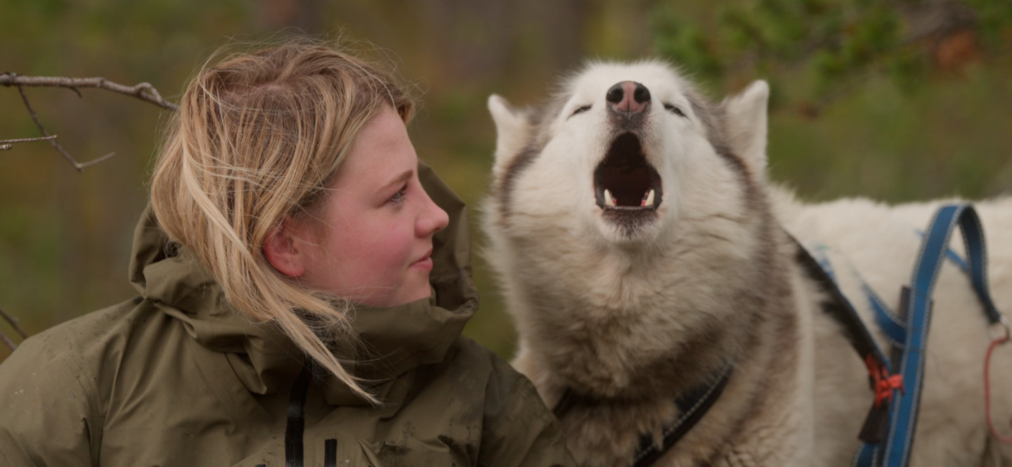 Dziewczyna z psem rasy husky