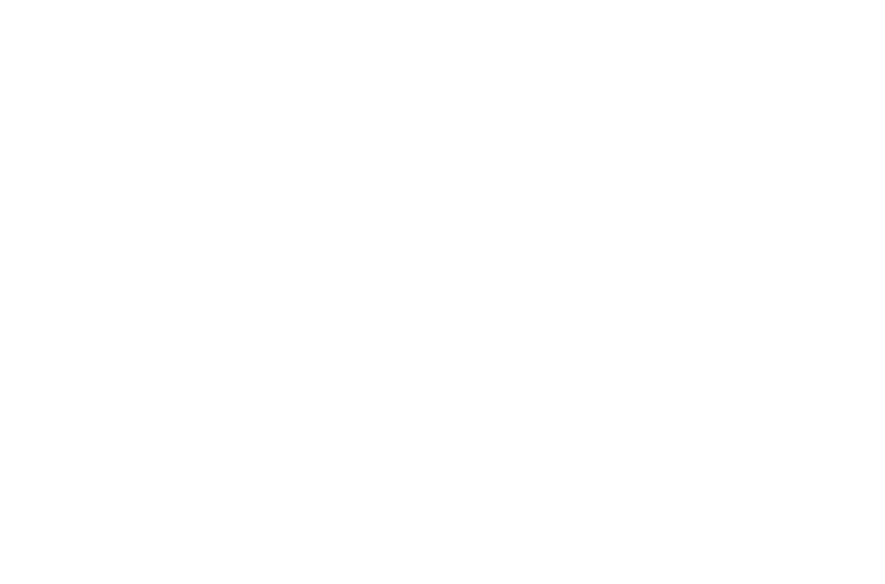 Sieć Kin Studyjnych i Lokalnych - logo