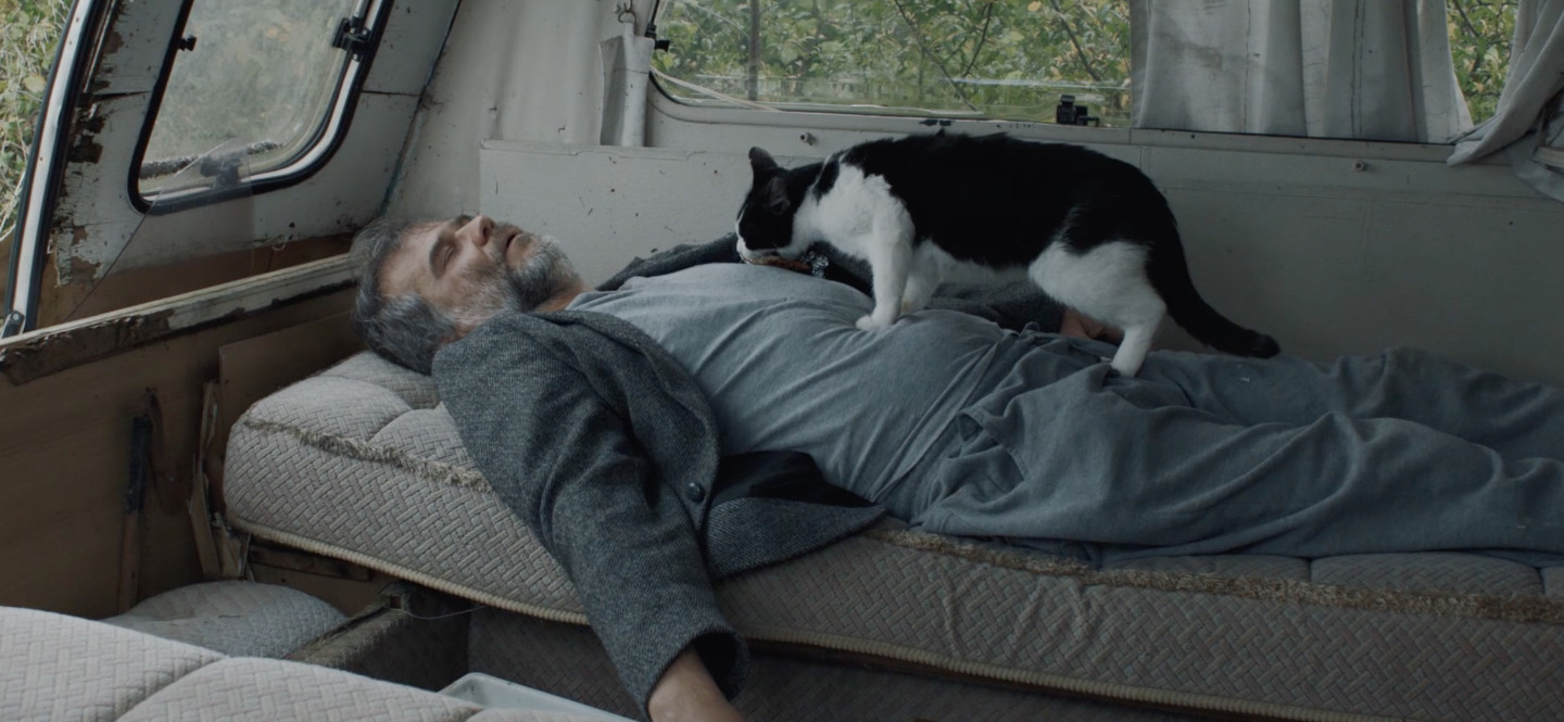 Na zdjęciu mężczyzna leżący na łóżku w przyczepie kempingowej. Na mężczyźnie stoi kot.
